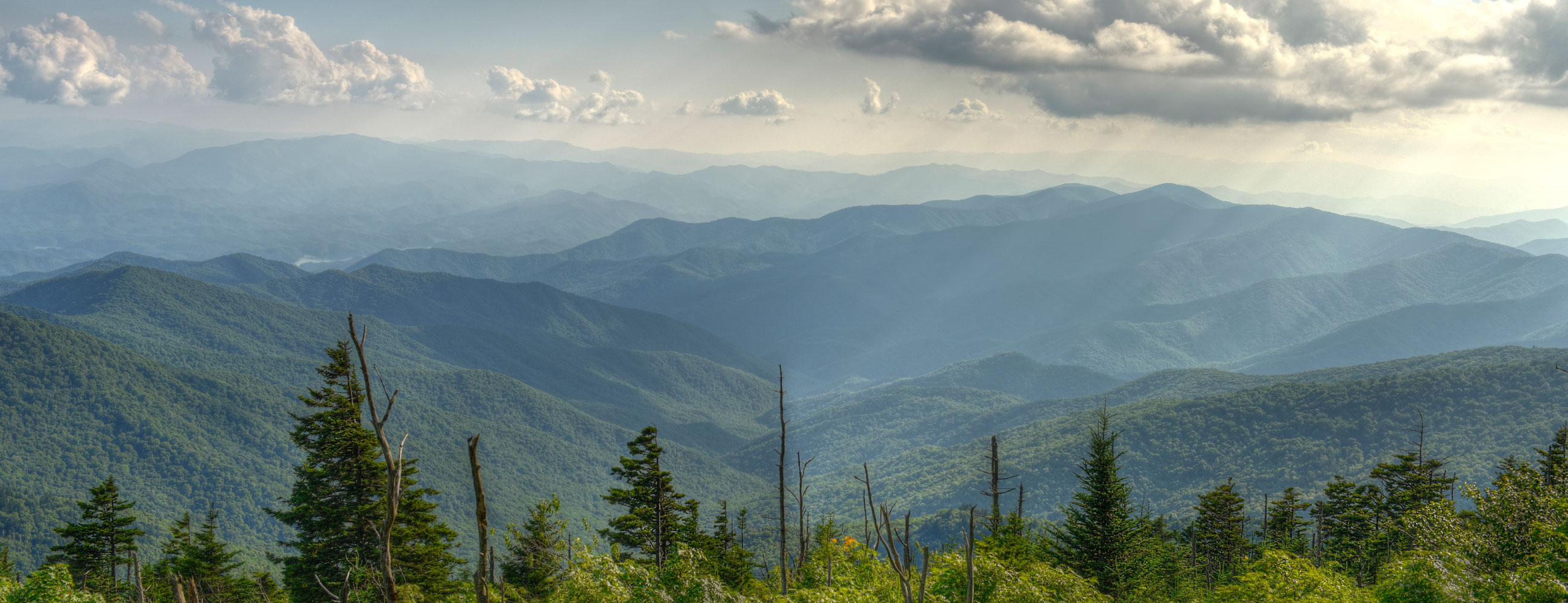 Seattle Coffee Roaster