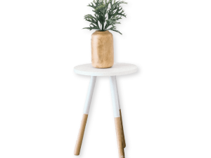 Mauris elit magna, aliquet