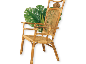 Morbi pulvinar augue lorem