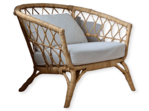 Morbi mattis ipsum sem