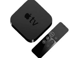 Morbi varius ligula eget ante